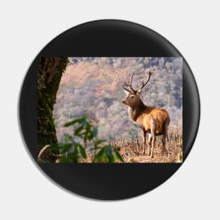 Monarch of the Glen Pin