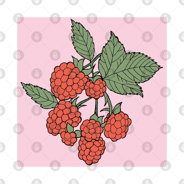 Raspberries by senkova