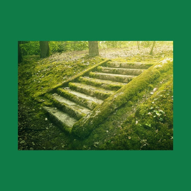 green moss stair steps by psychoshadow