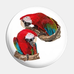 Red-and-green Macaw Pin