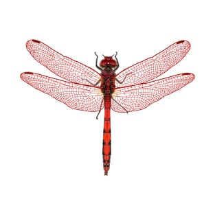 red dragonfly T-Shirt