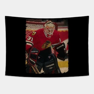 Jeff Hackett, 1995 in Chicago Blackhawks (2.47 GAA) Tapestry