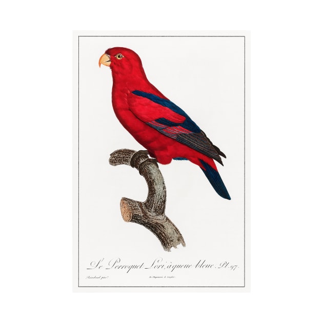 The Red Lory (1801—1805) by WAITE-SMITH VINTAGE ART