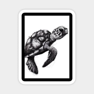 Ink Turtle Magnet