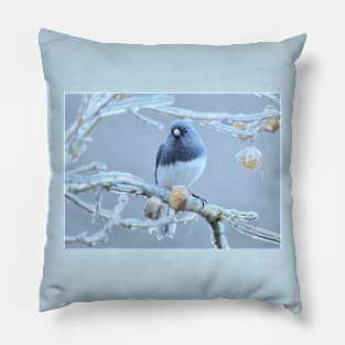 Junco  ~ after the ice storm Pillow