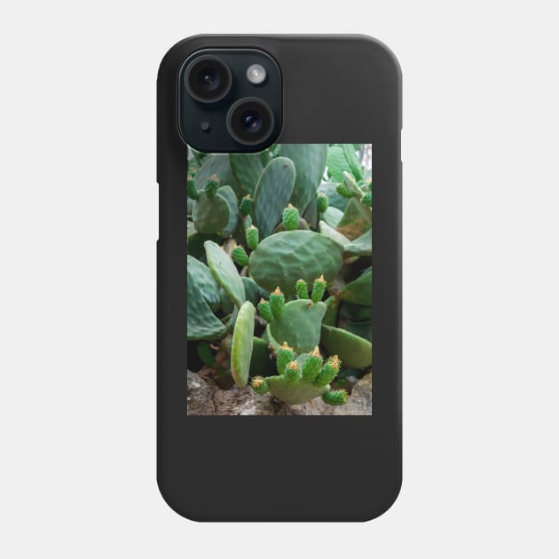 Opuntia, commonly called prickly pear Phone Case by lena-maximova