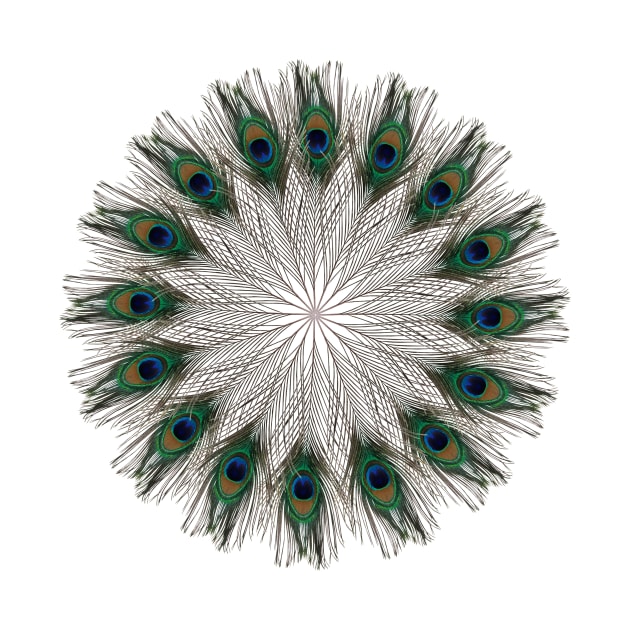Simple Peacock Mandala by burenkaUA