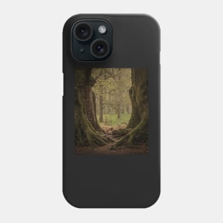 'The Witness Trees', Kinclaven Woods, Perthshire. Phone Case