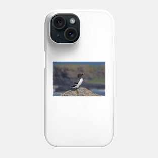 Razorbill on a cliff Phone Case