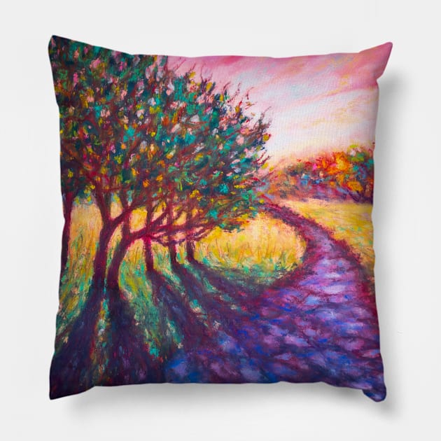 Afternoon light and shadow Pillow by redwitchart