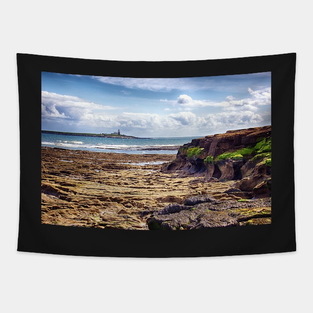 Rugged Honesty Tapestry by InspiraImage