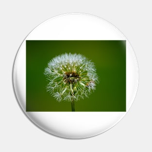 Landscaper's Nightmare, dandelions Pin