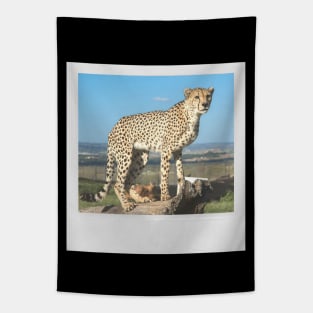 CHEETAH Photograph Cute Big Cat Vintage Picture Tapestry