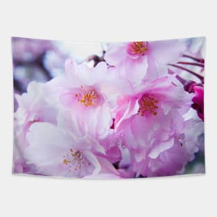 Photography - Plum blossom Tapestry