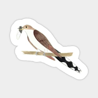 Yellow-Billed Cuckoo Watercolor Painting Magnet