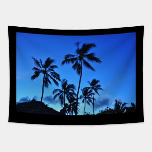 Hawaiian coconut trees Tapestry