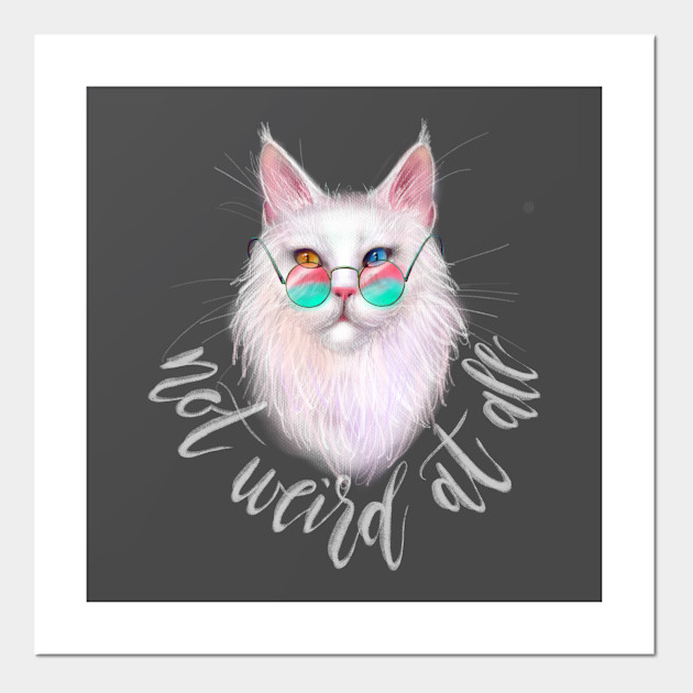 White Maine Coon Cat With Different Colored Eyes And Calligraphy