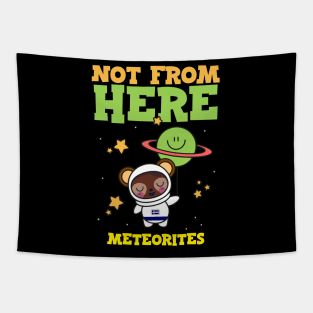 Meteorite Collector "Not From Here - Meteorites" Meteorite Tapestry