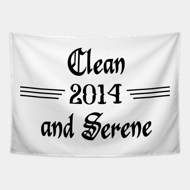 Clean and Serene 2014 Tapestry by JodyzDesigns