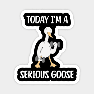 Today I'm A Serious Goose Magnet