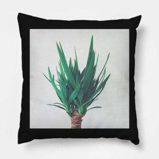 Yucca Pillow