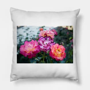 Neon Pink Roses 1 Pillow