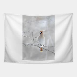 Bohemian Waxwing in winter Tapestry