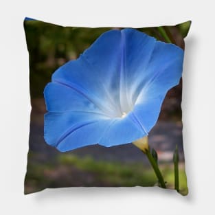 Lispe Morning Glory Pillow