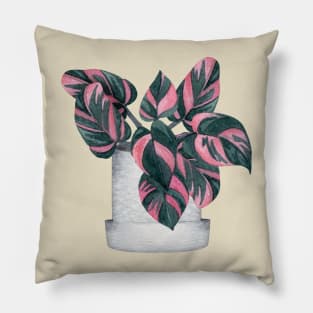 Philodendron Pink Princess Pillow