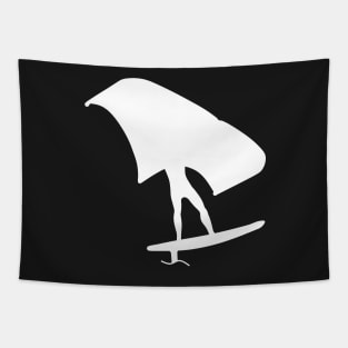 Wingsurfing with wingfoil Tapestry