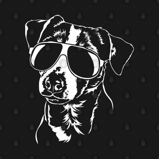 Jack Russell Terrier sunglasses cool dog by wilsigns