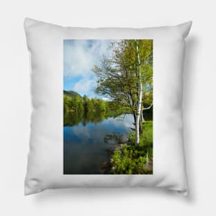 Spring Birch Woodard Reservoir, Vermont Pillow