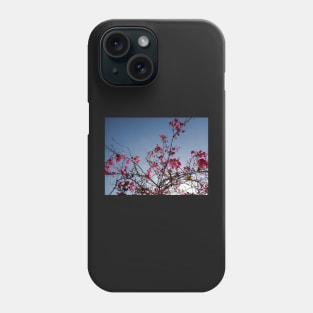 Beautiful summer pink flowers Phone Case