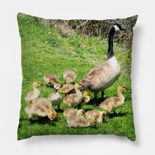 Canada Goose Family of Goslings Pillow