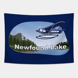 Newfound Pontoon Airplane Tapestry