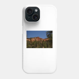 WGC_3647 Phone Case