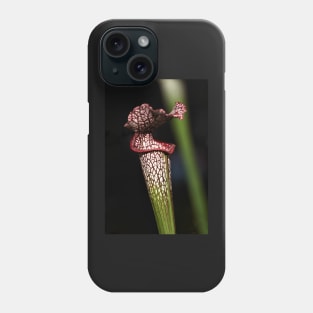 Red Lipped Carniverous Pitcher Plant Phone Case