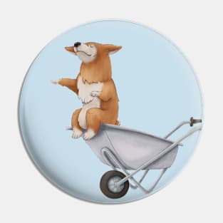 Great little dog. Cute Corgi boss, imperiously sits in a wheelbarrow. Illustration Pin