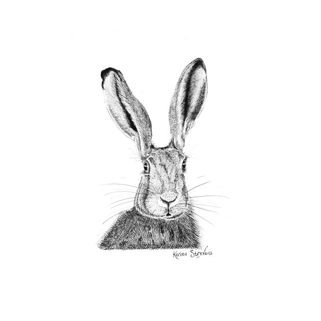 Field Hare Drawing by Keenart