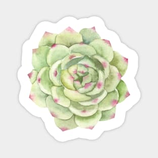 Desert Rose, Succulent Greenery Magnet