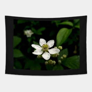 Blossoming white flower, close up photography Tapestry