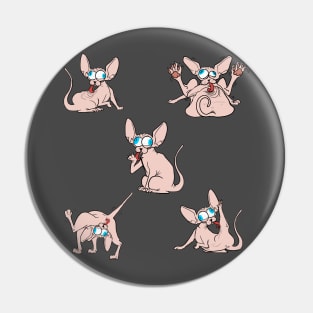 5 sphynx Pin