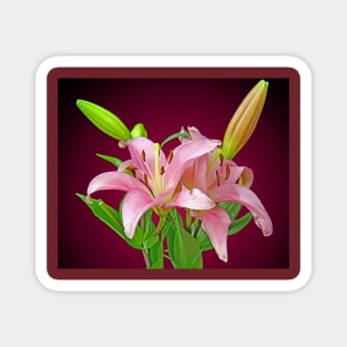 Two pink Lilies Magnet