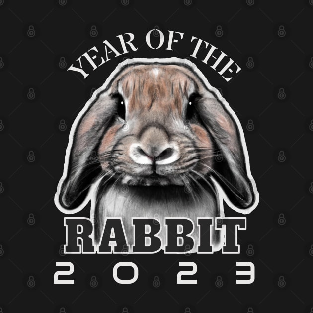 Year of the Rabbit 2023 by Decamega