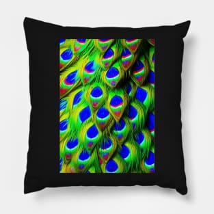 STUNNING PEACOCK FEATHERS Pillow