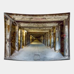 Old Dog Leg Tunnel, Cockatoo Island, Sydney, NSW, Australia Tapestry