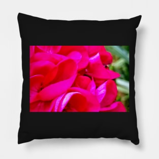 Geranium Petal display Pillow