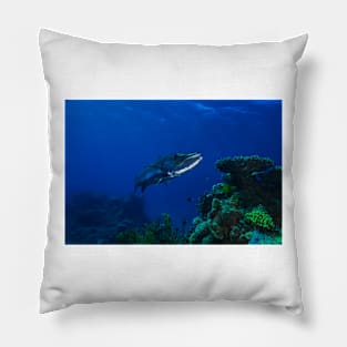 Barracuda on the Great Barrier Reef Pillow