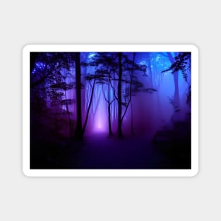 Mystical doorway in a blacklight forest Magnet