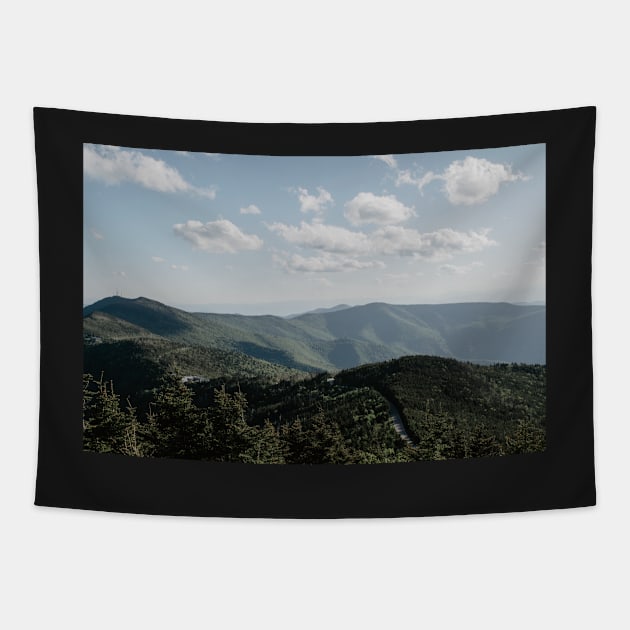 Blue Ridge Parkway Tapestry by LindsayVaughn